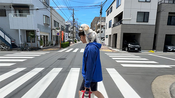 紅葉 きょうのわんこ 写真4