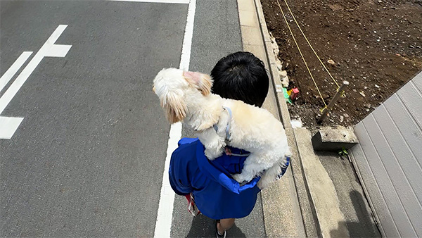 紅葉 きょうのわんこ 写真5