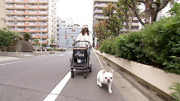 もっち きょうのわんこ 写真2