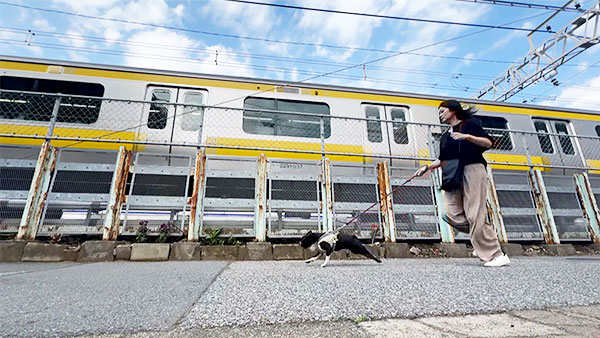 マロ きょうのわんこ 写真4