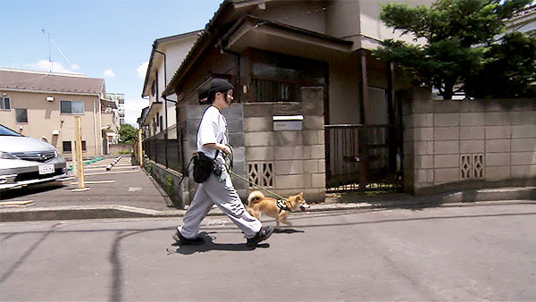 水 きょうのわんこ 写真2