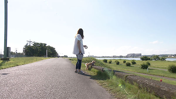ココ きょうのわんこ 写真2