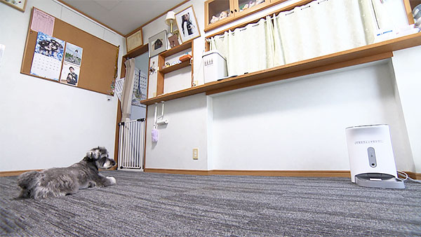 ムック きょうのわんこ 写真2