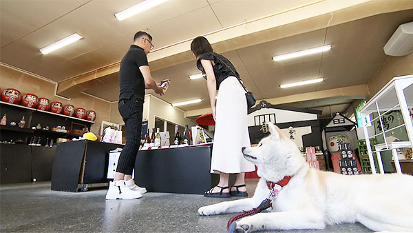 優美 きょうのわんこ 写真4