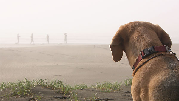 ラブ きょうのわんこ 写真2
