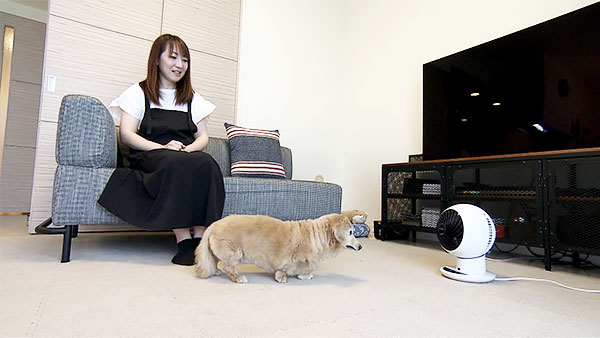 ラテ きょうのわんこ 写真3