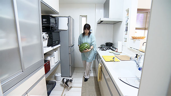 空太 きょうのわんこ 写真2