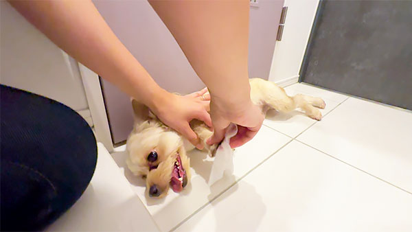 ぽぽ きょうのわんこ 写真4