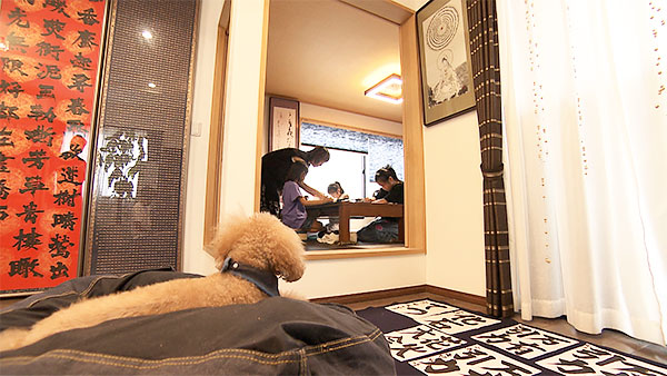 ルーク きょうのわんこ 写真4