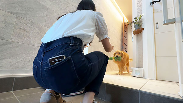 あろは きょうのわんこ 写真5