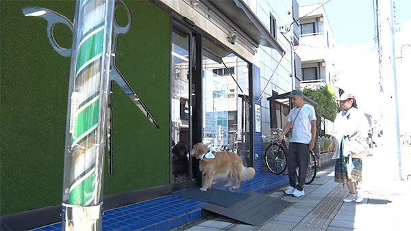 7027 ばん - めざましテレビ｜きょうのわんこ - フジテレビ