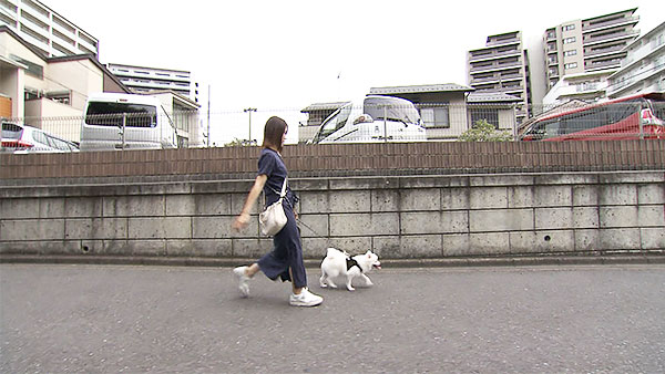 がるぼ きょうのわんこ 写真2