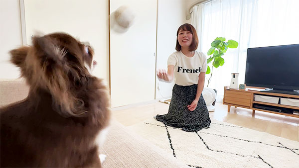 ぴのあ きょうのわんこ 写真5