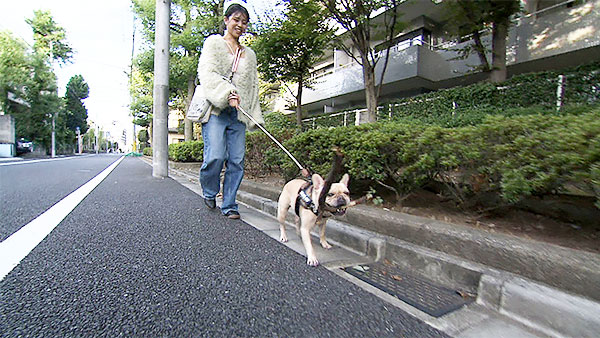 カイル きょうのわんこ 写真3