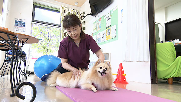 翔平 きょうのわんこ 写真4