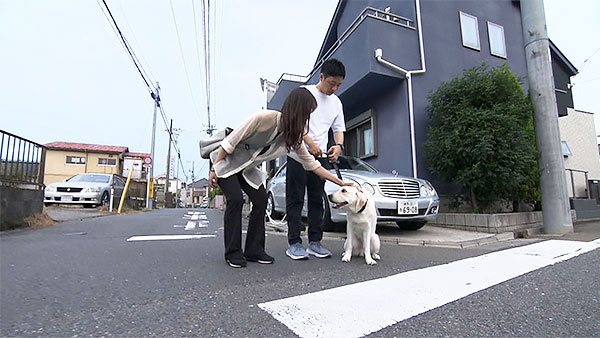 チェイス きょうのわんこ 写真4
