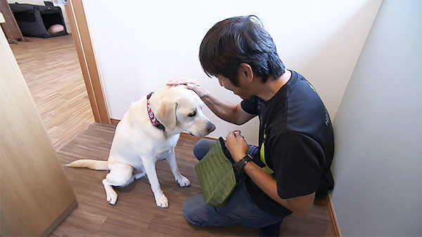 LIKE きょうのわんこ 写真5