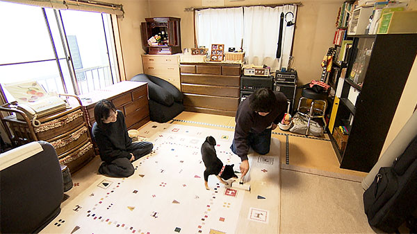 スミ きょうのわんこ 写真5