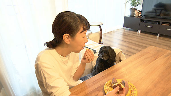 うらら きょうのわんこ 写真4
