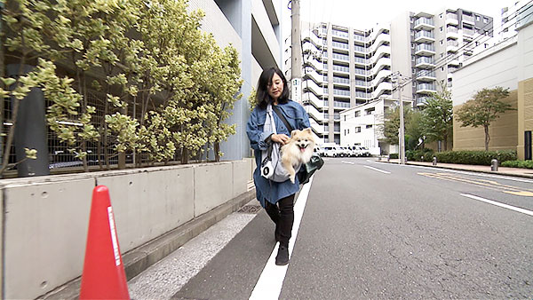 ブンブン・ブラウ きょうのわんこ 写真3