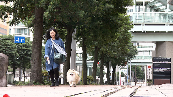 ブンブン・ブラウ きょうのわんこ 写真5