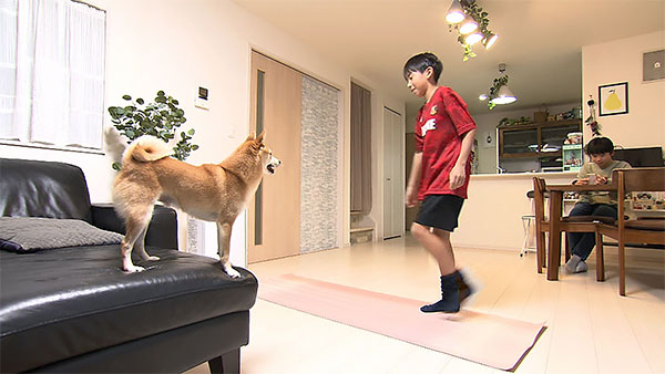 まめ きょうのわんこ 写真2