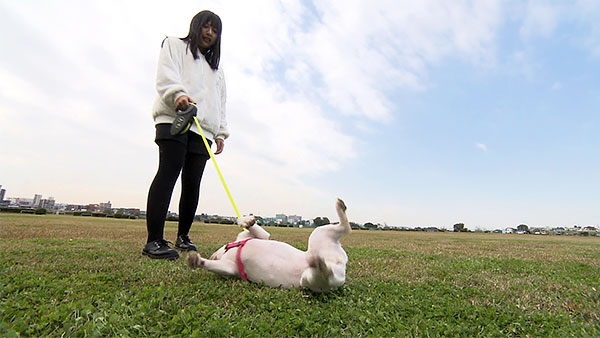 むち子 きょうのわんこ 写真3