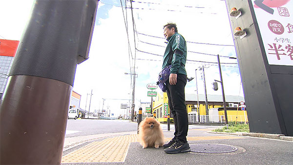 ポン きょうのわんこ 写真2