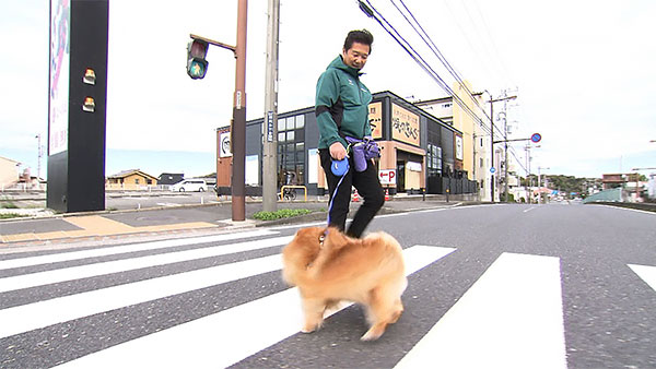 ポン きょうのわんこ 写真4