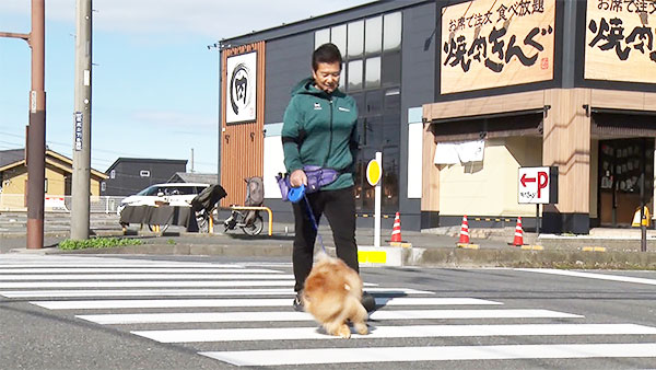 ポン きょうのわんこ 写真5