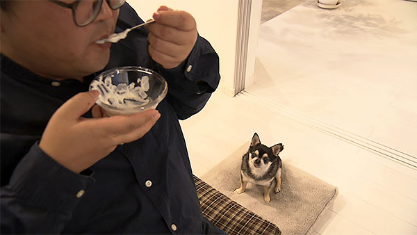 ごま きょうのわんこ 写真2