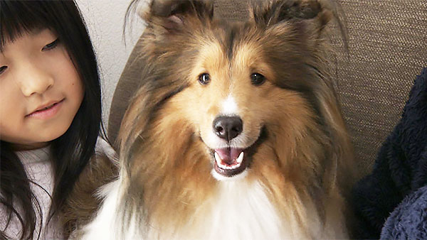 レオ きょうのわんこ 写真1