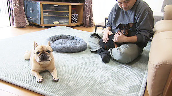 ごま きょうのわんこ 写真2