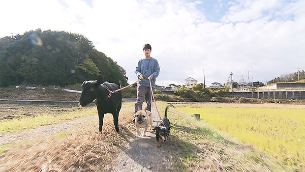 ごま きょうのわんこ 写真3