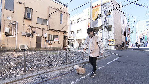コロン きょうのわんこ 写真2