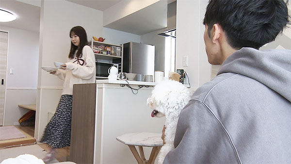 むぎ きょうのわんこ 写真2