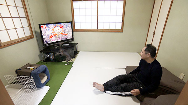 モニカ きょうのわんこ 写真2