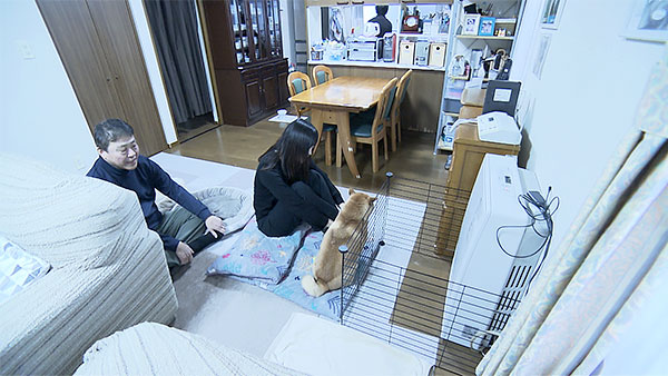 こむぎ きょうのわんこ 写真4
