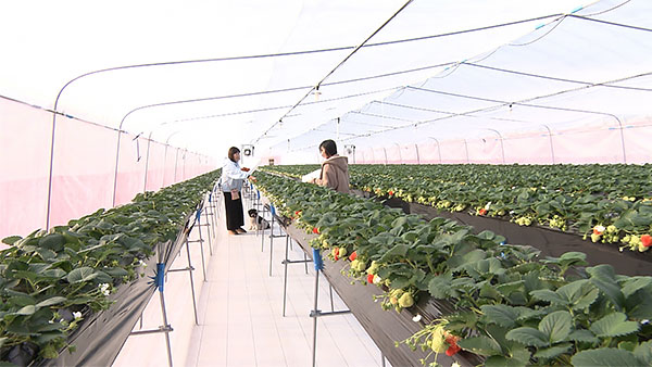 とと介 きょうのわんこ 写真5