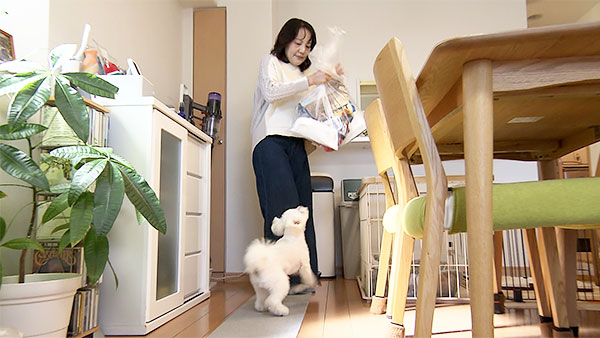 グミ きょうのわんこ 写真3