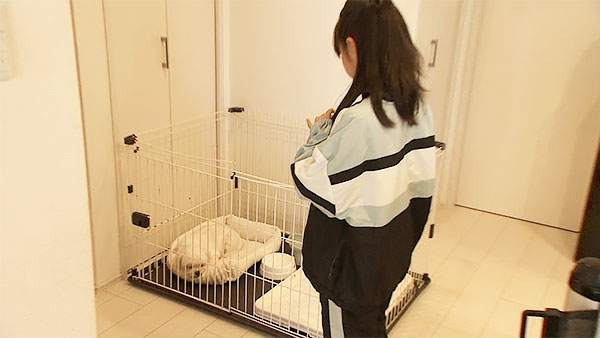 ロン きょうのわんこ 写真3