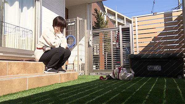小春 きょうのわんこ 写真5