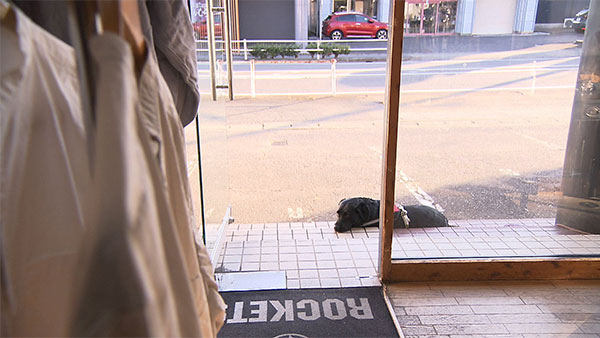 ちょろ松 きょうのわんこ 写真3