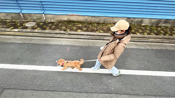 丼 きょうのわんこ 写真5
