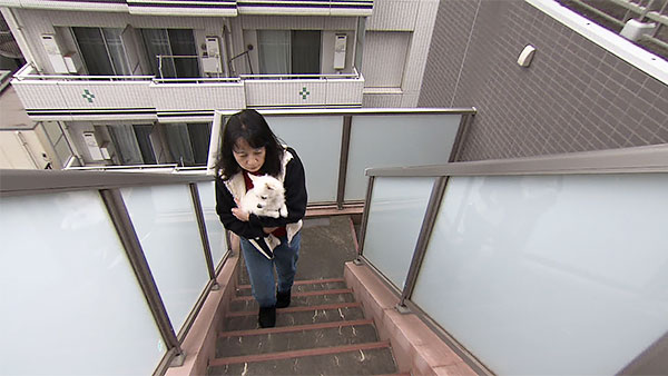 シェリー きょうのわんこ 写真2