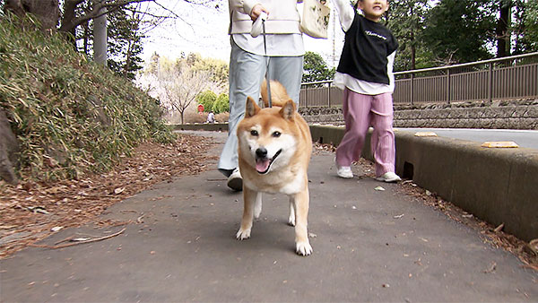 ゆきち きょうのわんこ 写真1