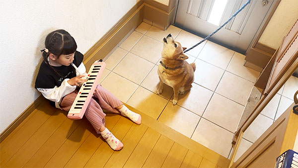 ゆきち きょうのわんこ 写真3