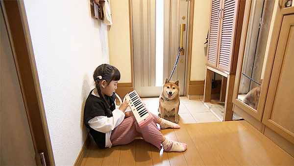 ゆきち きょうのわんこ 写真4