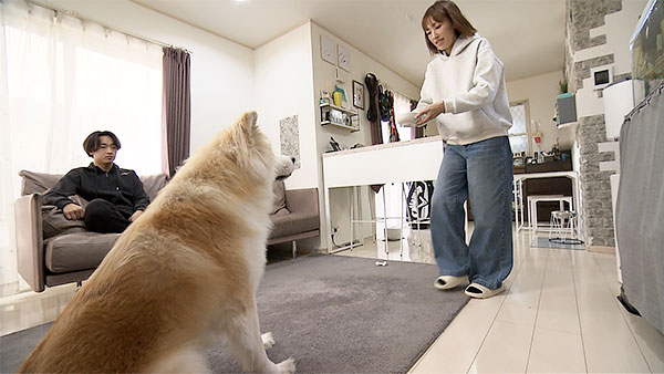 らん丸 きょうのわんこ 写真3