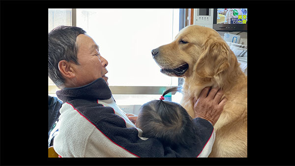 アルフ きょうのわんこ 写真2
